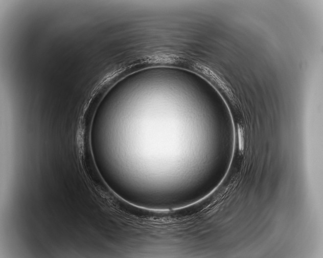 X0000097870675200803211315