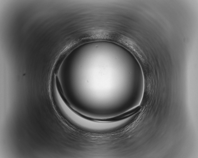 X0000097870677200803211315