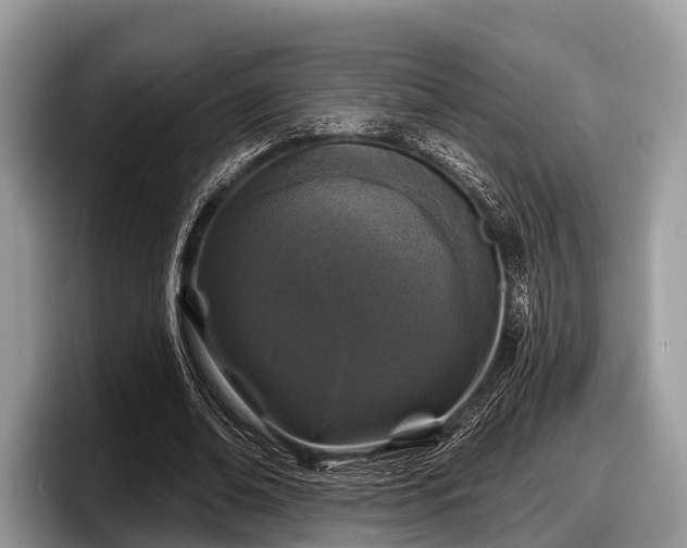 X0000097870678200803211315