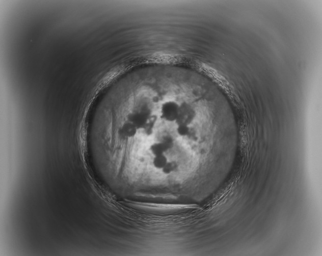 X0000097870679200803211315