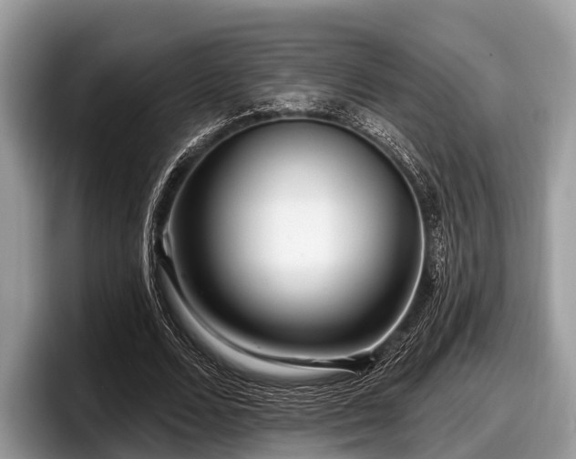 X0000097870680200803211315