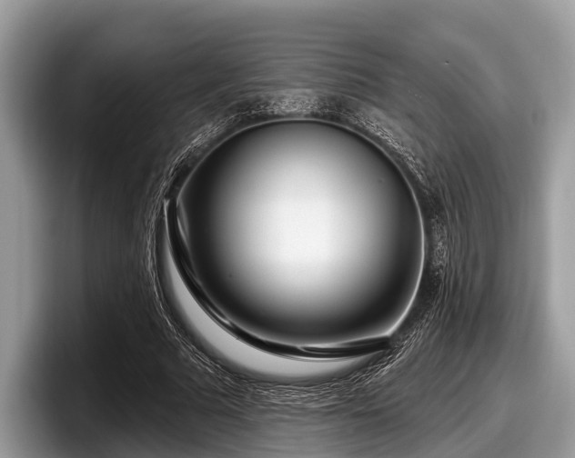 X0000097870681200803211315