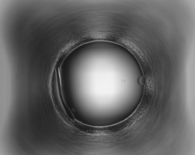 X0000097870682200803211315