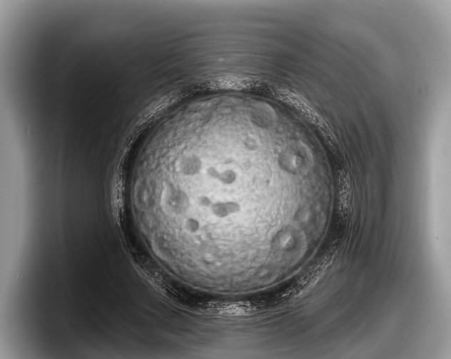 X0000097870683200803211315