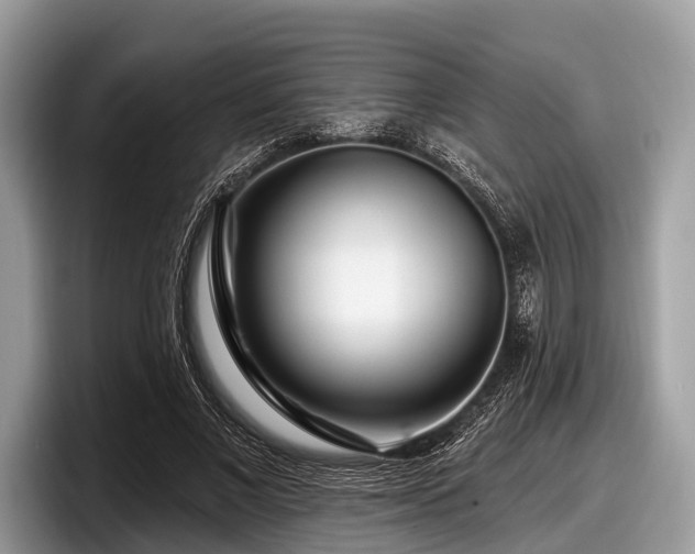 X0000097870685200803211314