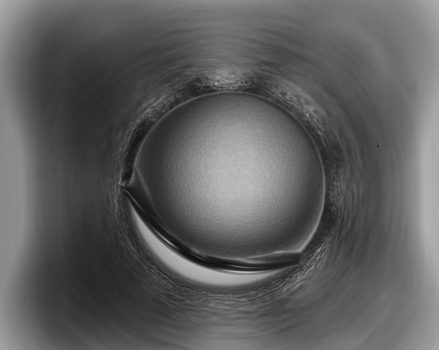 X0000097870689200803211314