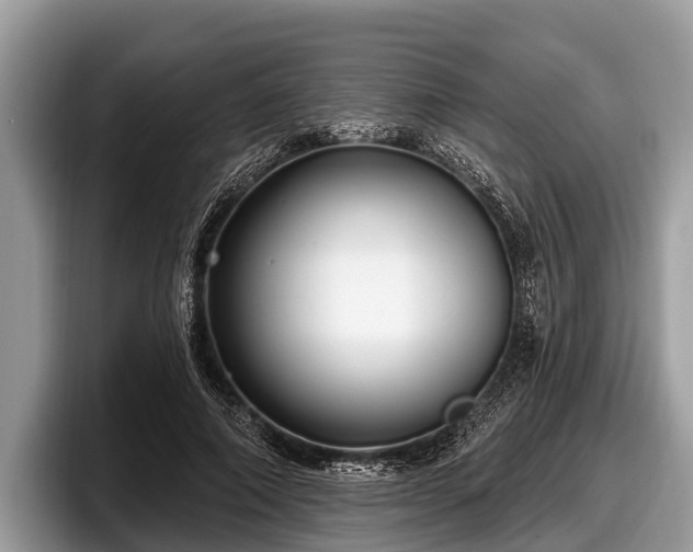 X0000097870690200803211314