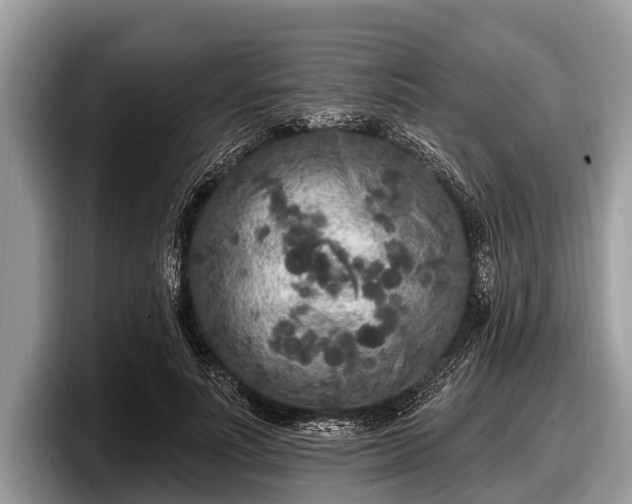 X0000097870691200803211314