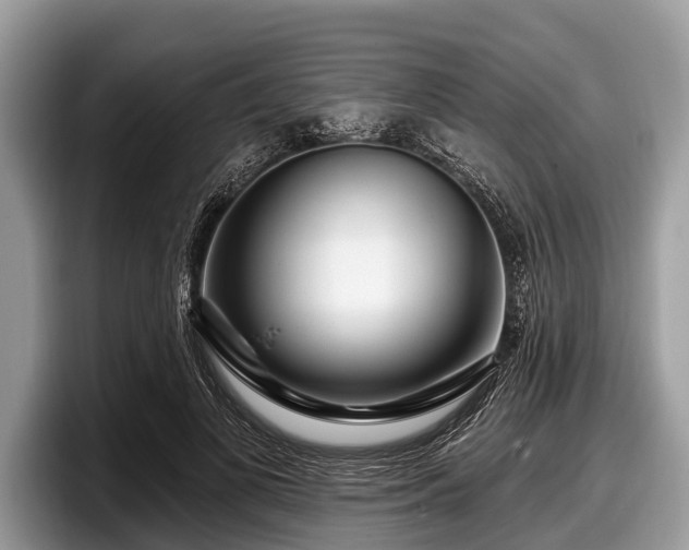 X0000097870693200803211314