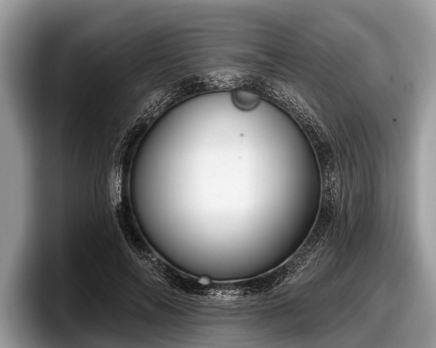 X0000097870694200803211314