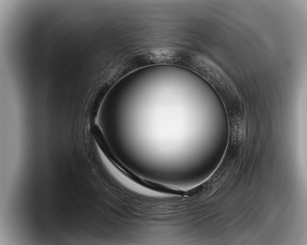 X0000097870700200803211314
