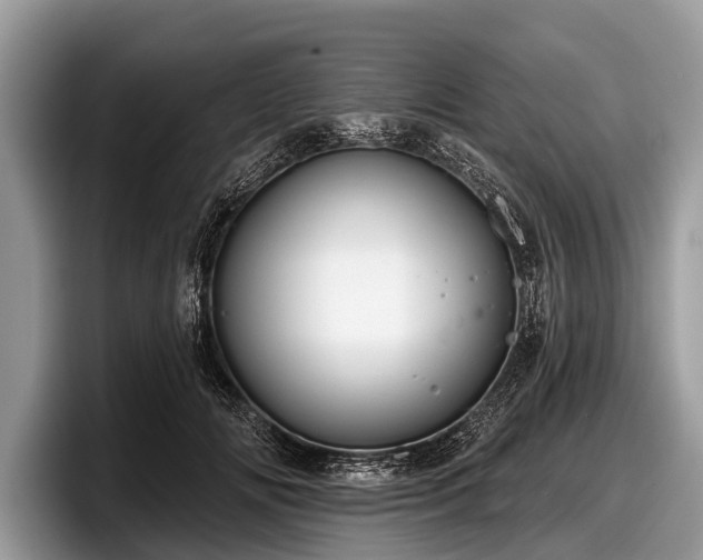X0000097870702200803211314