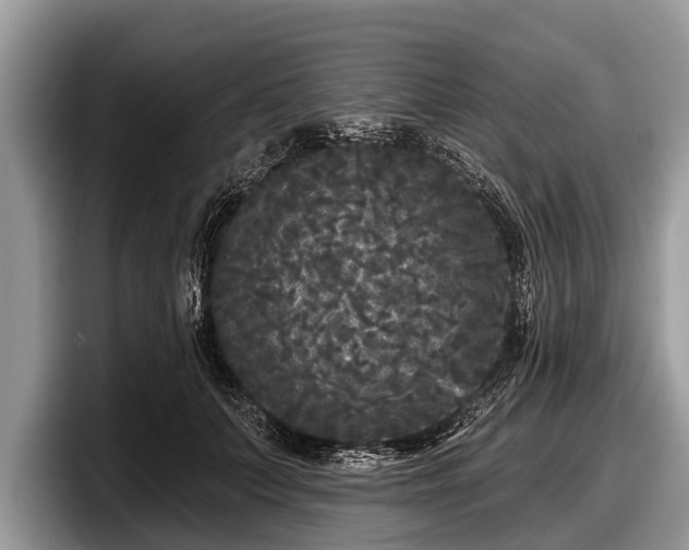 X0000097870703200803211314