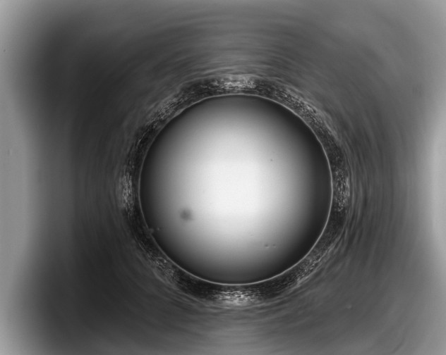 X0000097870704200803211314