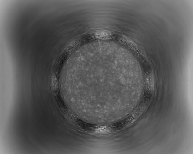 X0000097870705200803211314