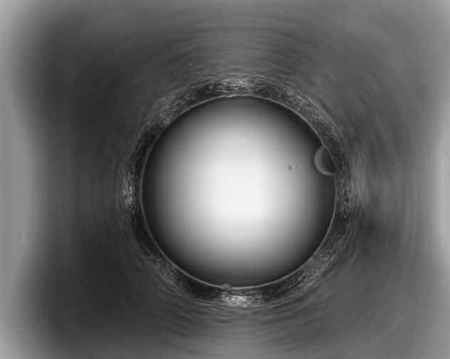 X0000097870706200803211314