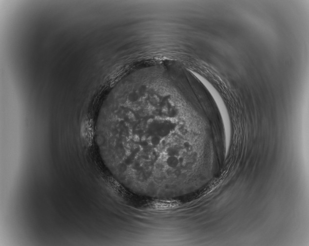 X0000097870707200803211314