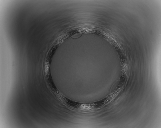 X0000097870709200803211314