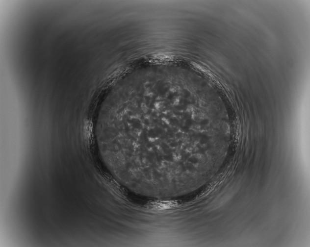 X0000097870711200803211314