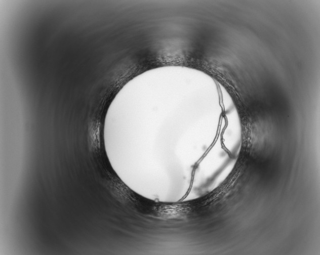 X0000097870717200803211314