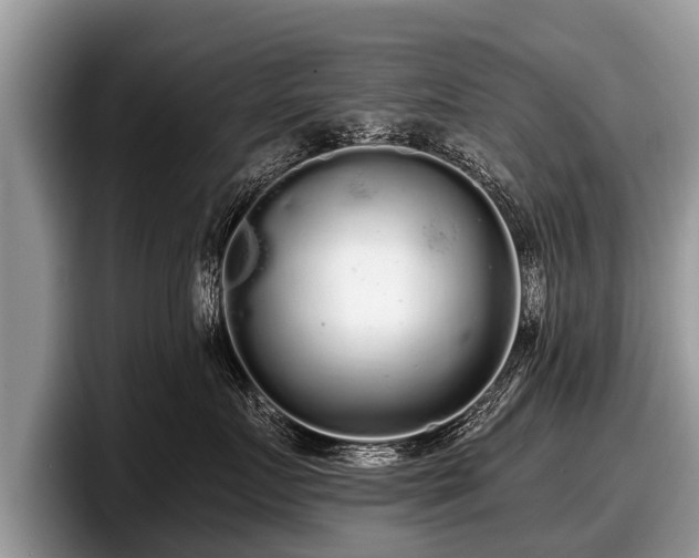 X0000097870719200803211314