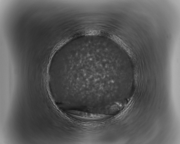X0000097870721200803211313