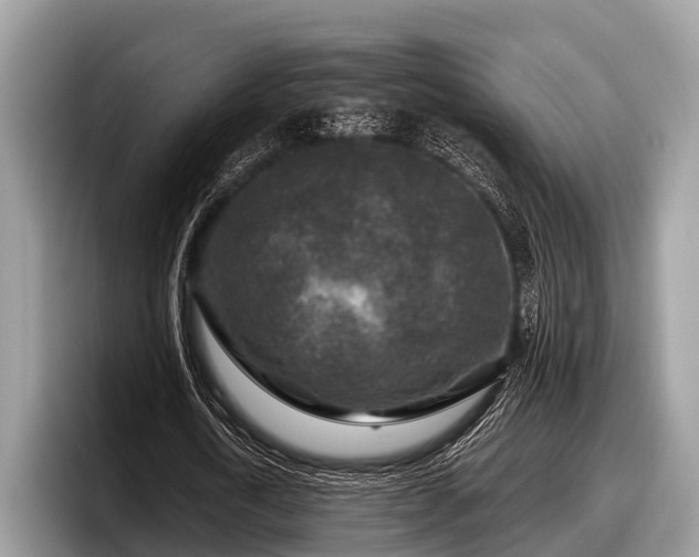 X0000097870722200803211313