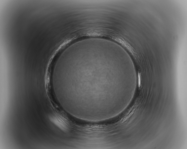 X0000097870723200803211313