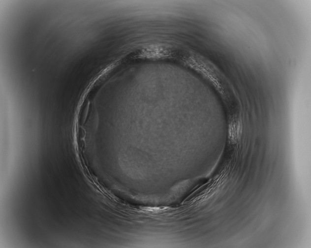 X0000097870724200803211313