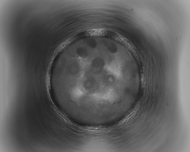 X0000097870725200803211313