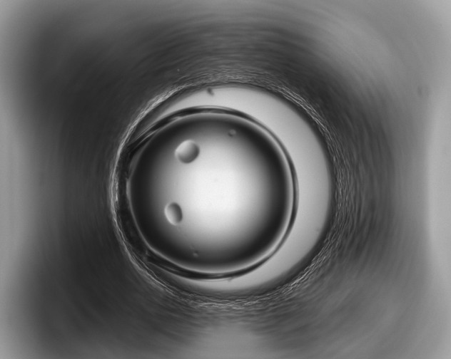 X0000097870726200803211313