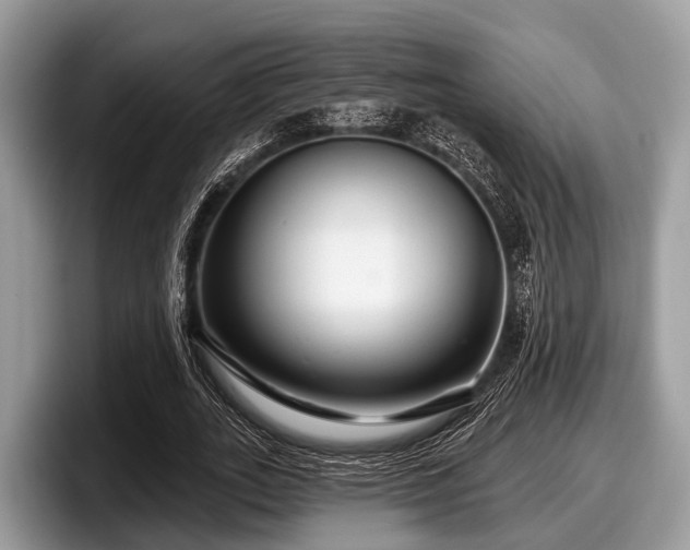 X0000097870727200803211313