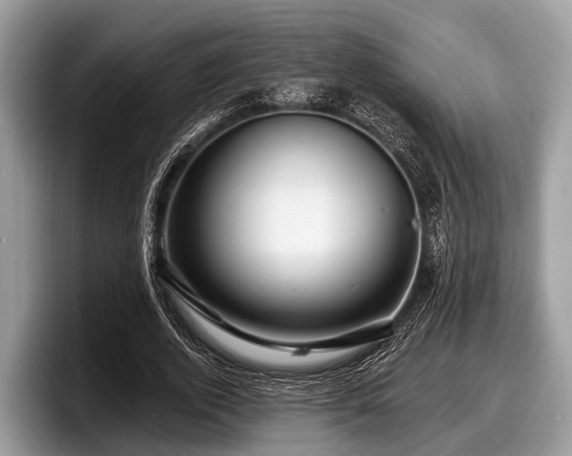 X0000097870728200803211313