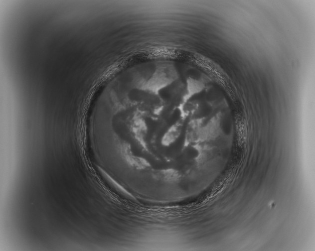 X0000097870729200803211314