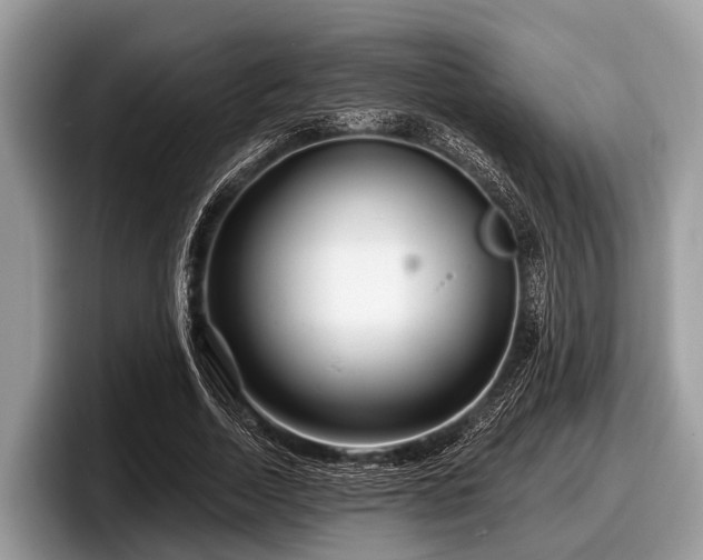 X0000097870730200803211314