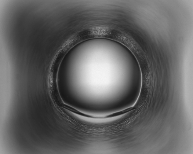 X0000097870731200803211314