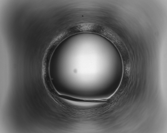 X0000097870732200803211314