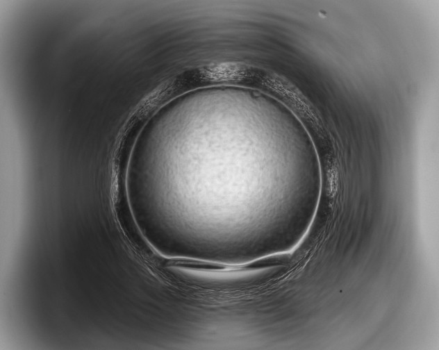 X0000097870733200803211314