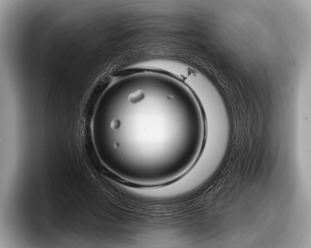 X0000097870735200803211314