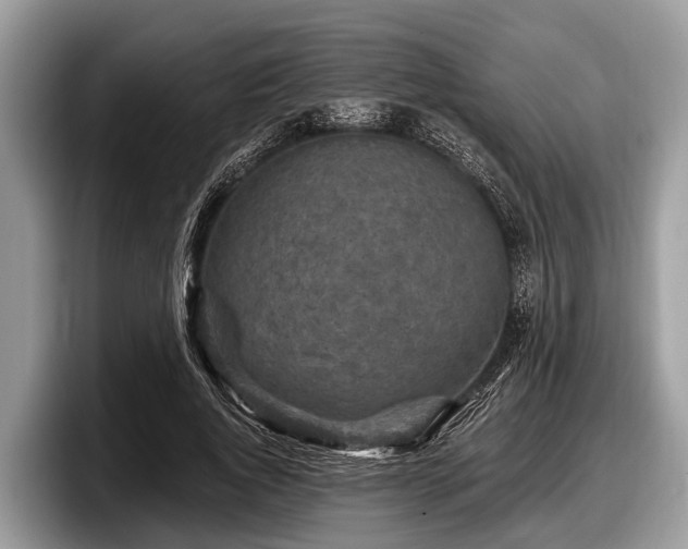 X0000097870736200803211314