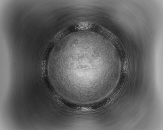 X0000097870737200803211314