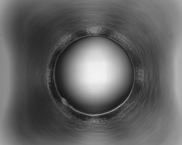 X0000097870738200803211314
