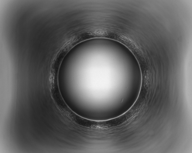 X0000097870739200803211314