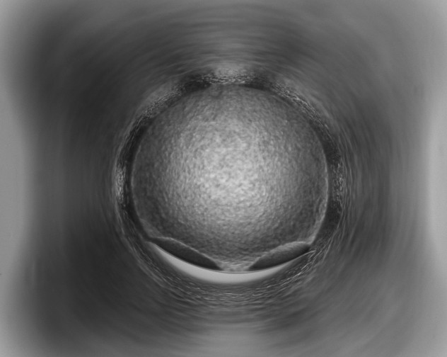 X0000097870742200803211314