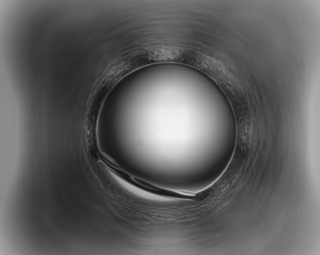 X0000097870743200803211314
