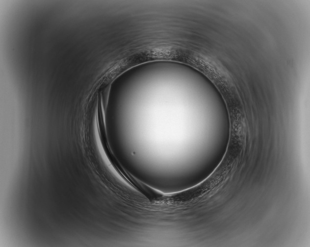 X0000097870744200803211314