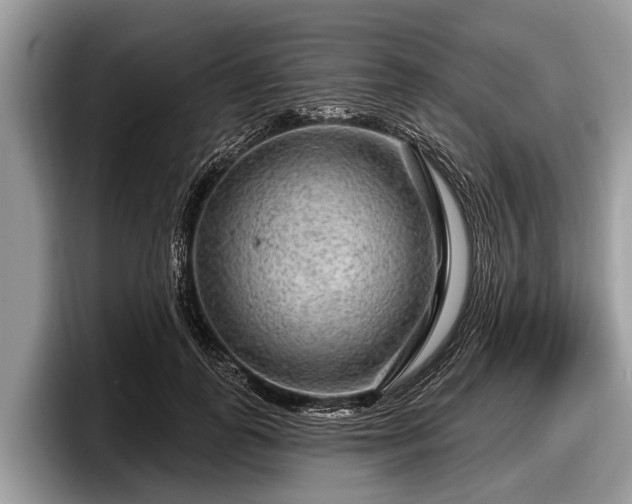 X0000097870747200803211314