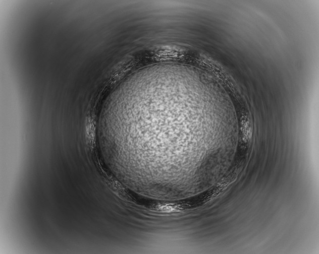 X0000097870753200803211314
