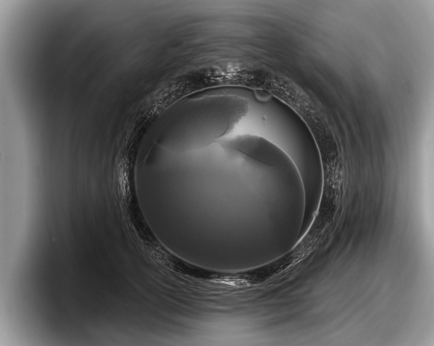 X0000097870754200803211314