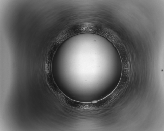 X0000097870755200803211314